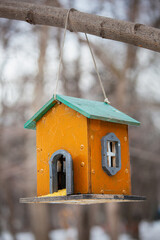 Bird feeders of handmade on tree trunk in park. Homemade grain feeder for wintering birds