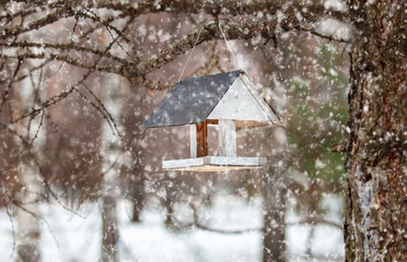 Bird feeders of handmade on tree trunk in park. Homemade grain feeder for wintering birds