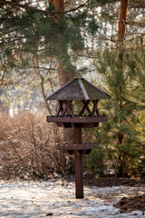Bird feeders of handmade on tree trunk in park. Homemade grain feeder for wintering birds