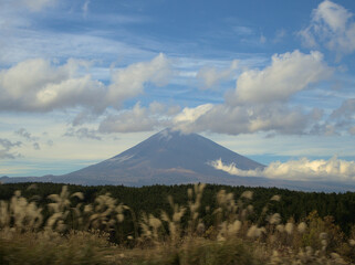 Fototapeta premium 富士山