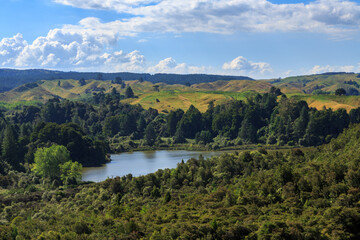 Lake Ngahewa, a small lake and wetland area close to Rotorua, New Zealand