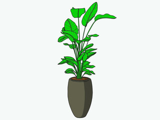 Hand drawn Plant. Indoor plant in a Jar. Scandinavian style illustration with monstera, modern and elegant home decor. Vector poster design.