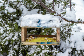 Bird feeder in a winter forest where there is a lot of snow. Protection of animals and birds. Helping nature. Snowy forest