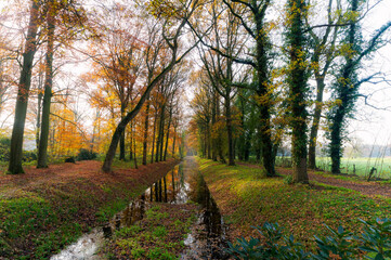 Autumn landscape of the Verwolde estate in Laren, Gelderland