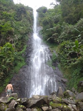 waterfall in the forest ( curug cijalu )
