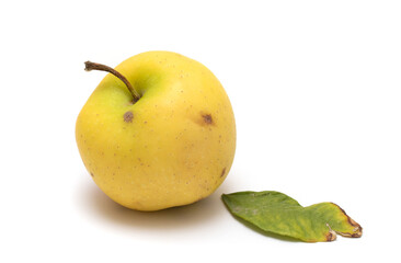 Yellow apple on a white background.
