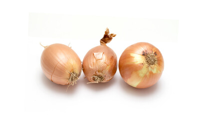 Yellow onion head isolated on white background.