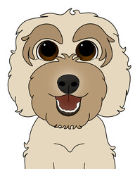 Light Brown, Cream Cockapoo / Labradoodle