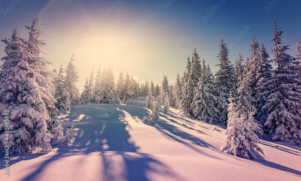 Fototapete Amazing athmospheric Landscape. winter scenery at sunset. instagram filter. postcard. Snow covered tree under sunlight. Sunlight sparkling in the snow. instagram filter. winter nature background