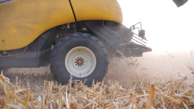 Close up big rotating wheel of combine working on corn field or farm. Harvester gathering maize crop leaving waste behind it. Agronomy concept. Slow motion Side view