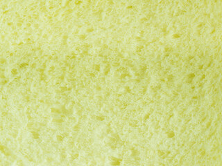 sponge texture