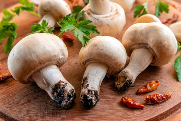 Funghi freschi appena colti su tagliere in legno con prezzemolo e peperoncino rosso