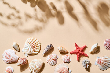 Fototapeta na wymiar Summer Holiday Background. Imitation of beach sand withseashell, starfish, with deep shadows from the leaves and trees. Sunny day. Flat lay, top view copy space for your text.
