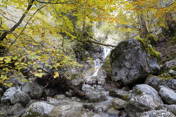 Herbststimmung Wasserfall und Blatt