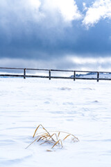【冬山イメージ】厳冬期の雪原