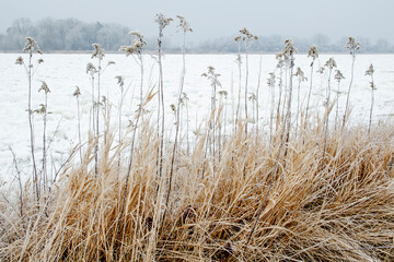 Zamarznięta rzeka Wisła, polski krajobraz zimowy
