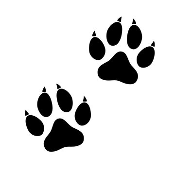 Black animal paw print isolated on white background. Vector illustration