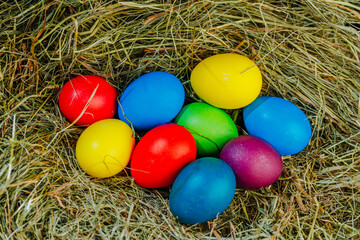 Fototapeta na wymiar colorful Easter eggs in dry grass hay, close-up view