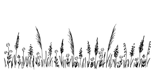 Hand-drawn simple vector sketch in black outline. Wild meadow grasses, wildflowers, spikelets, panicle inflorescences. Lawn, herbal plants, long banner.