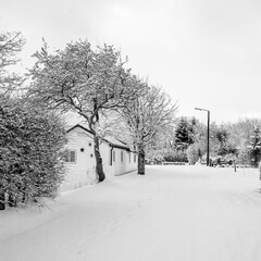 snowlandscape in the village