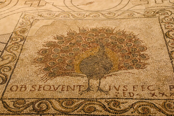 Fototapeta na wymiar Nice close-up view of a Paleochristian mosaic floor with a beautifully intricate and colorful peacock emblem, symbolising immortality, in the Crypt of Santa Reparata beneath the Cathedral of Florence.
