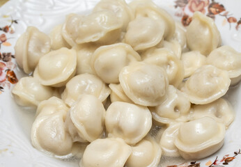 ravioli dumplings plates close up