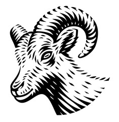 A black and white vector illustration of a goat in engraving style on white background