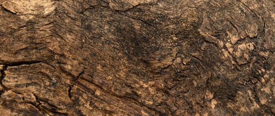 background old wood texture wood rotten dry