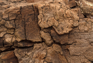 background old wood texture wood rotten dry