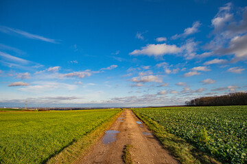 Obraz premium dirty mud road to billiger berg near eiffel in the sun at euskirchen, germany