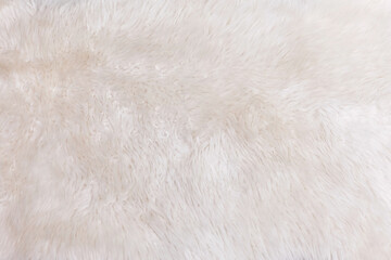 texture with white fluffy fur closeup