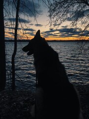 Processed with VSCO with g3 preset