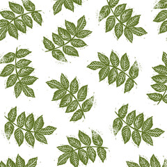 Vector pattern of green ash leaves. Square vector pattern of ash leaves on a white background. Vector illustration of gum leaves.