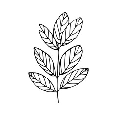 Twig with leaves, vector illustration, hand drawing sketch
