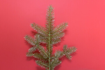 One single golden Christmas tree branch twig in the middle of image on pink background.