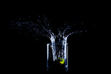 Wasser, Limette, Frische Zitronen mit Wasserstrahl 