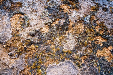 Multi-colored mold texture on the stones