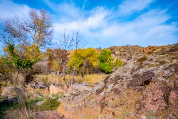 Huge deposits of stone minerals in a clearing bathed in warm sun in picturesque Ukraine