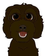Chocolate Brown Cockapoo / Labradoodle