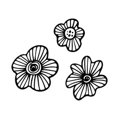Tropical flower outline. Exotic line art vector illustration isolated on white background. Tropical flower silhouette icon, blossom doodle element.