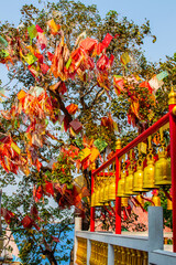 Bangsaen District Chonburi Thailand Asia
visit a Chinese Temple