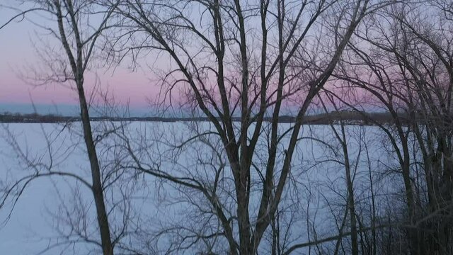 Drone shot rising from behind the trees and passing above them revealing the sunset with pink and blue colors and the fronzen river covered of white snow