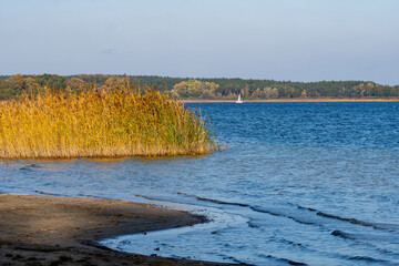 Jezioro powidzkie IV