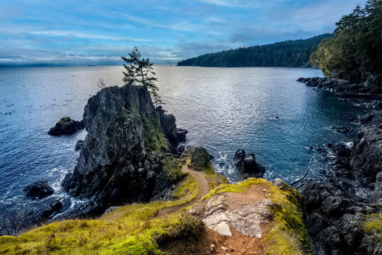 Coastal trail in the scenic East Sooke Regional Park, stunning waterscape in the background