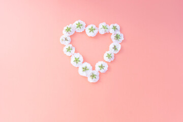 Flowers composition. heart frame made of white small rose on pink background. Mother's day, Valentine's day, birthday, spring, summer concept. Flat lay, top view