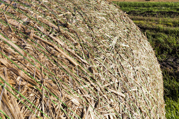 stubble and straw stacks