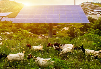 The construction of solar photovoltaic in the countryside © jeson