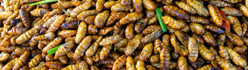 Fried insect lavae on sale in market in Cambodia