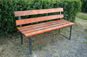Bench painted with varnish in the park.