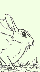 Rabbit eating grass Hand drawn illustration, Vector sketch of cute easter bunny